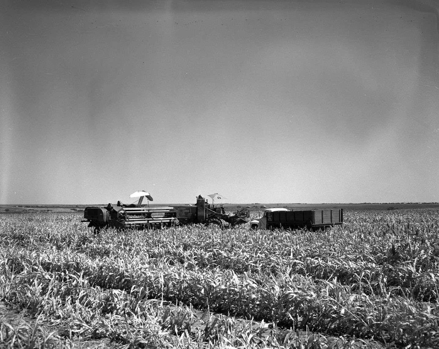 A truck and farming equipment in crops, 1955