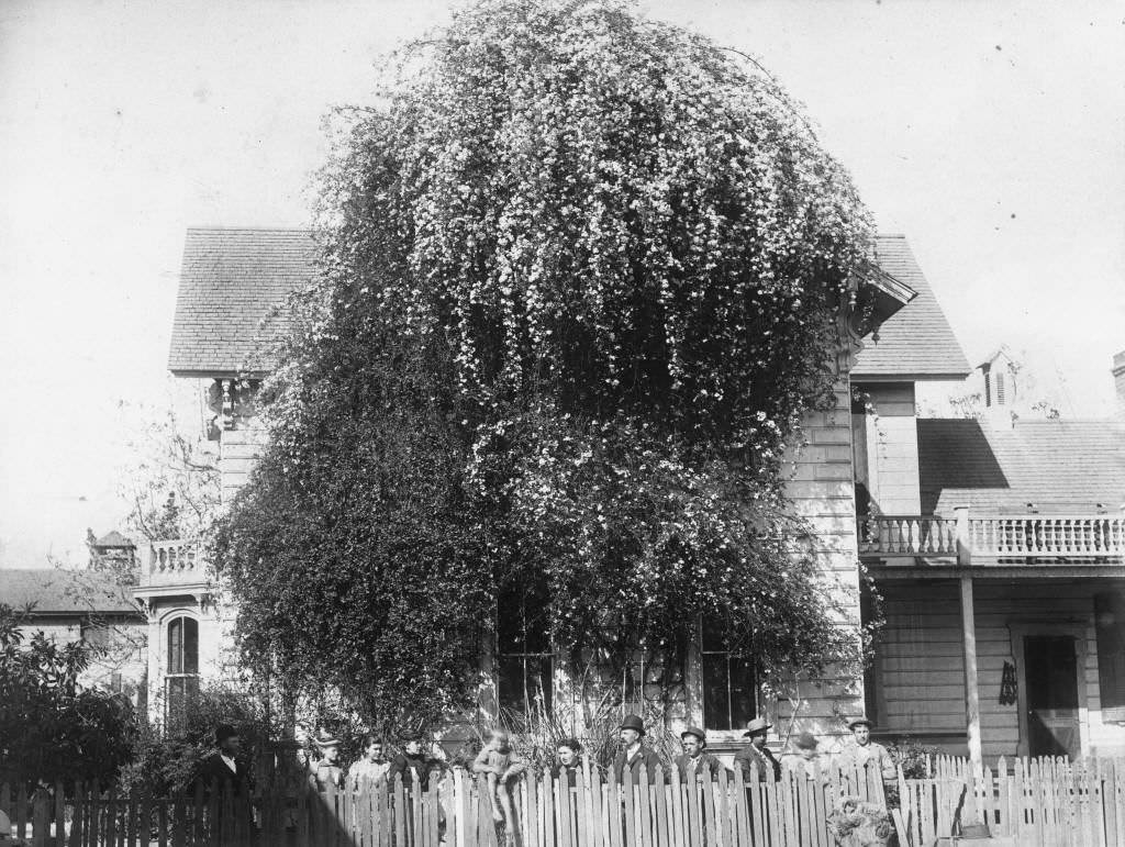 William Wallop House, Anaheim, 1892