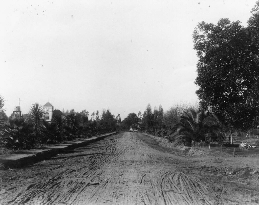 Mable Street in West Anaheim, 1895