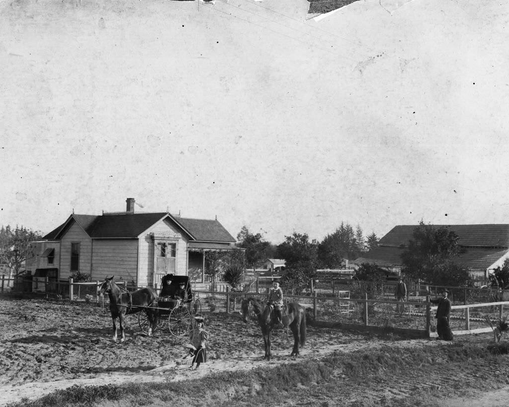 Fred Mickle's residence in 1895, located at1233 West Center Street (later Lincoln Ave.), Anaheim, 1895