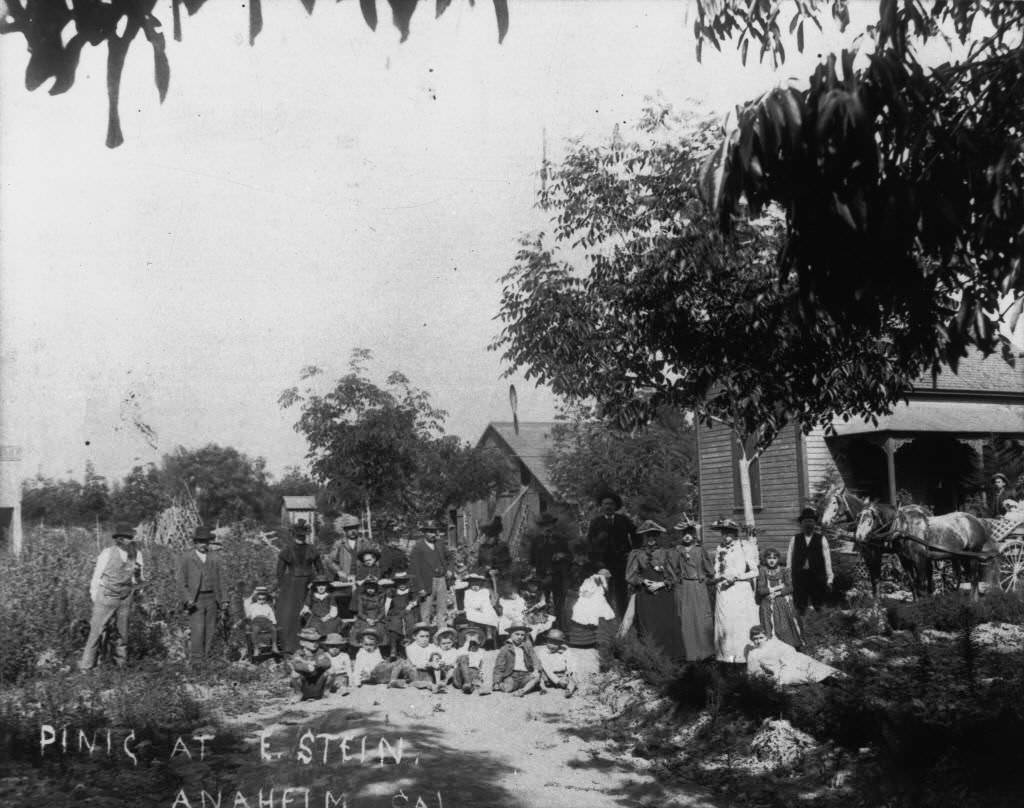 Picnic at Stein Residence, Anaheim, 1894