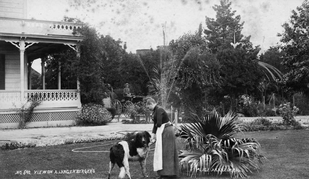 Langenberger Residence and Grounds, Sycamore Street, Anaheim, 1897