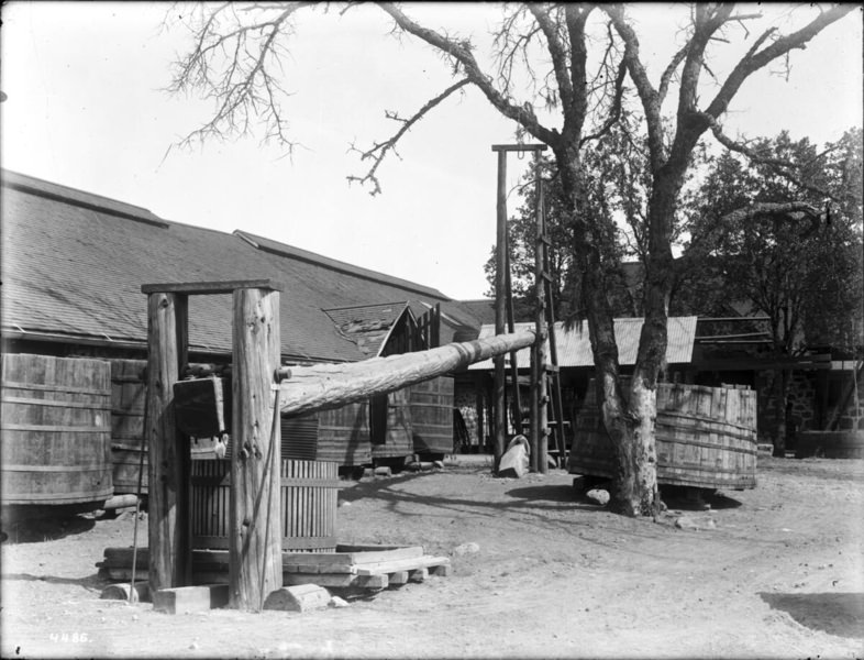 An early wine press, possibly Anaheim, California, 1895.