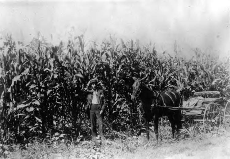 P. A. Stanton on his property, 1890