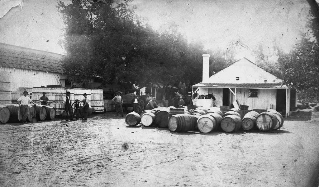 Dreyfus Winery, Anaheim, 1884