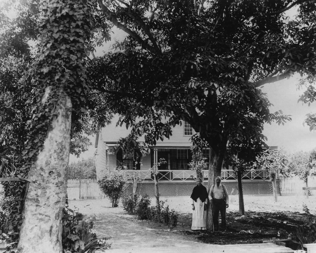 View of the Herman Werder residence, located at the corner of Citron and South Streets, 1885