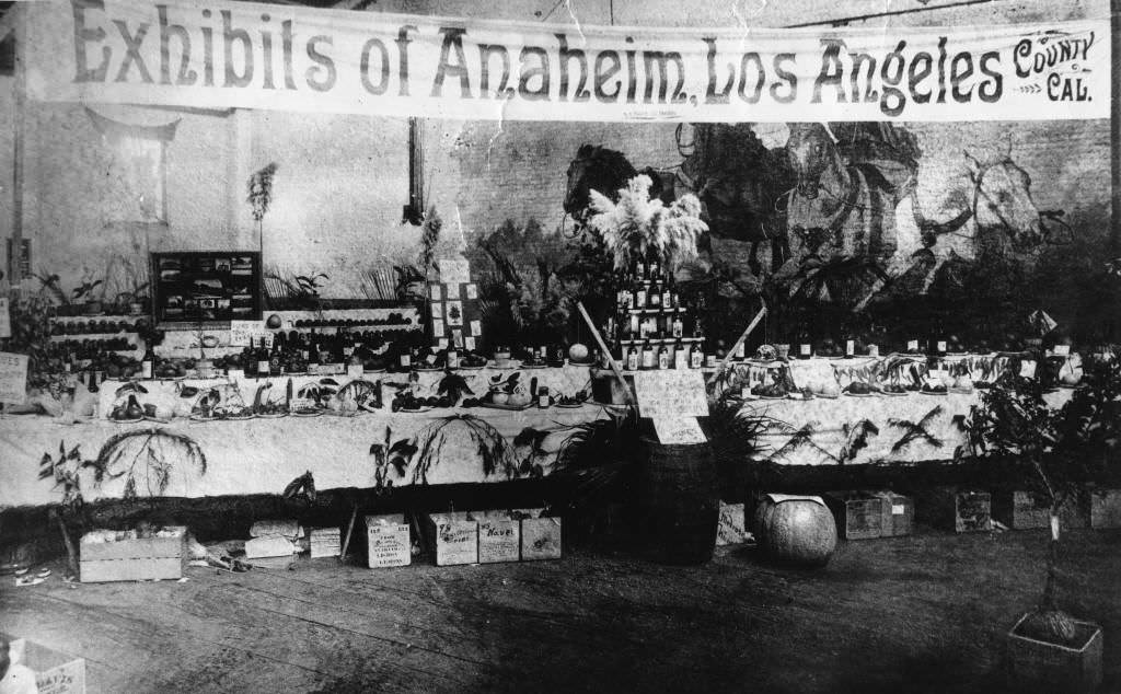 Anaheim Exhibit, Southern California Citrus Fair, 1886