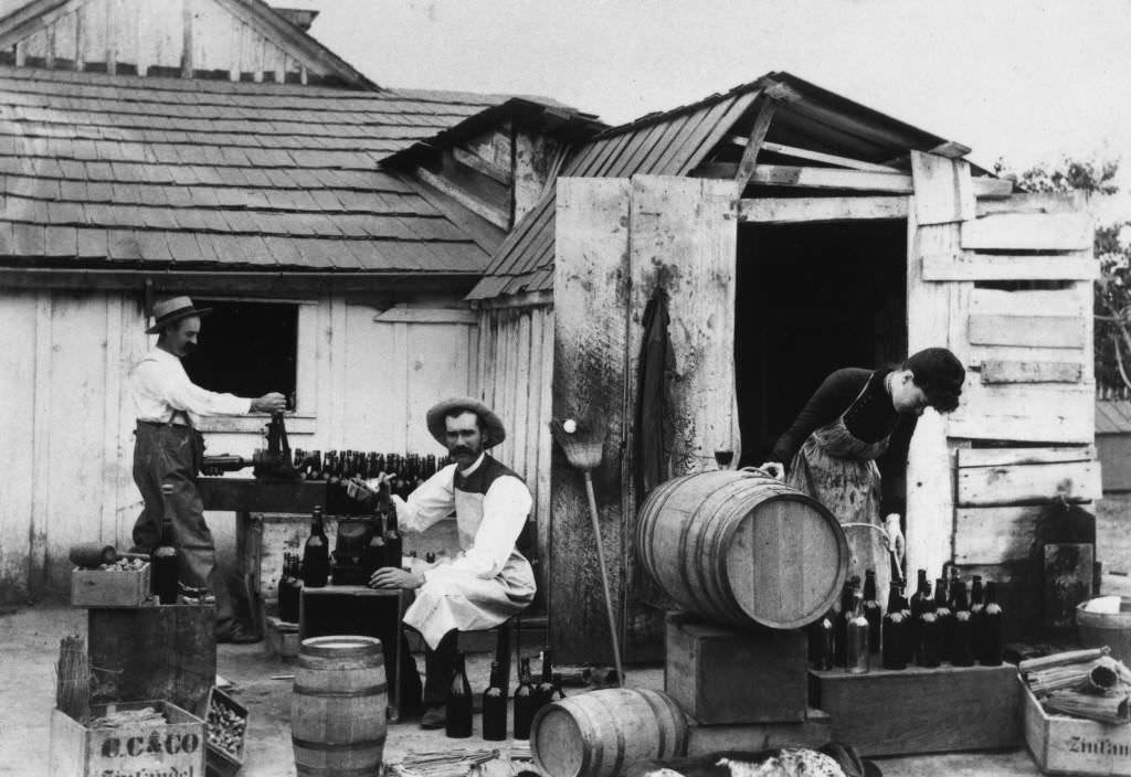 View of Dr. James Hovey Bullard and unidentified man and woman maiking wine at the Bullard Winery in Anaheim, 1885
