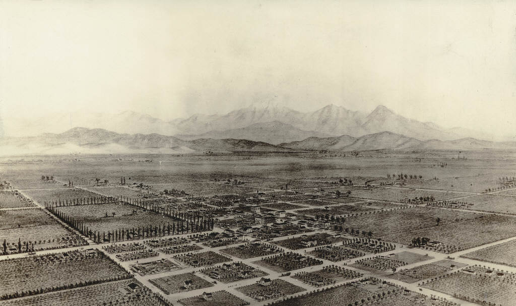 Bird's Eye View of Anaheim, 1876