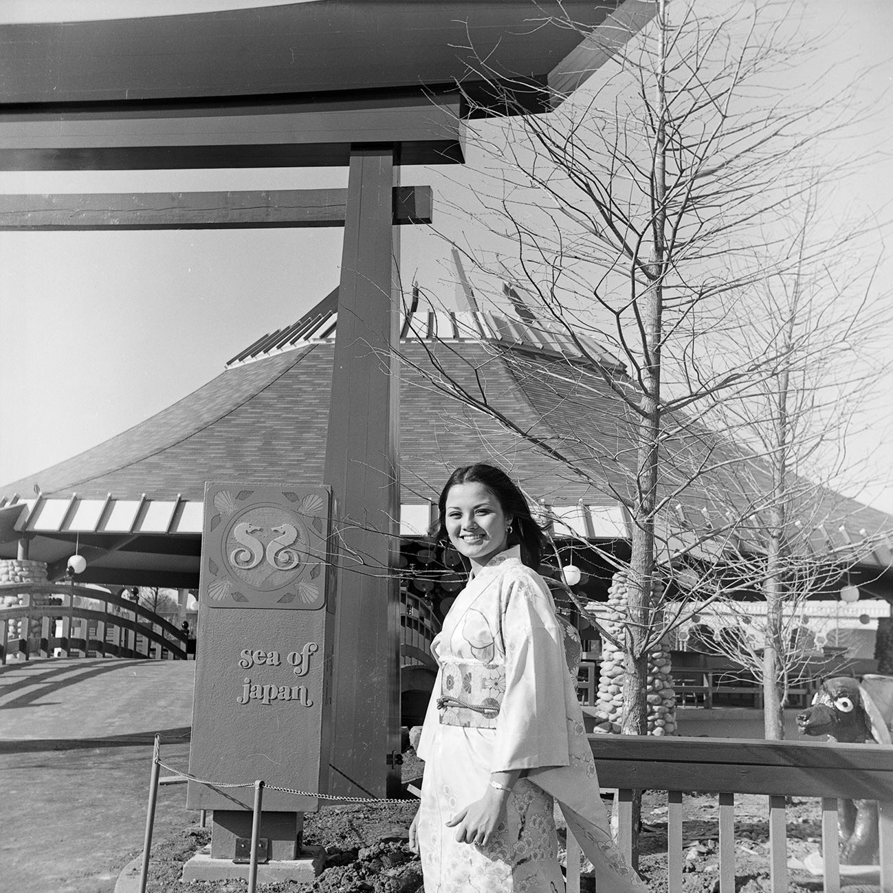 Arlington's Seven Seas amusement park, 1972