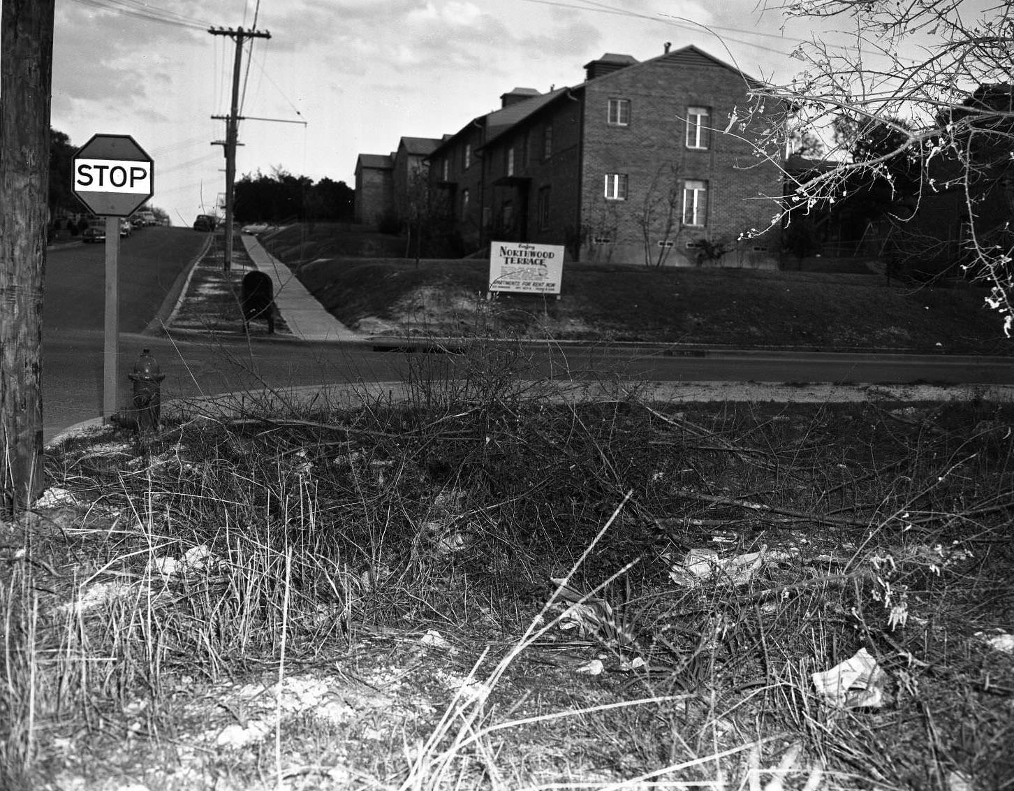 Accident Scene at East 32nd & Red River Streets, 1951