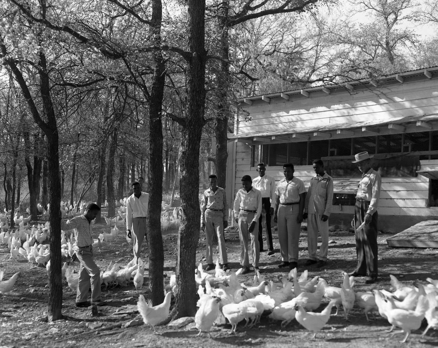 Anderson High School, 1955