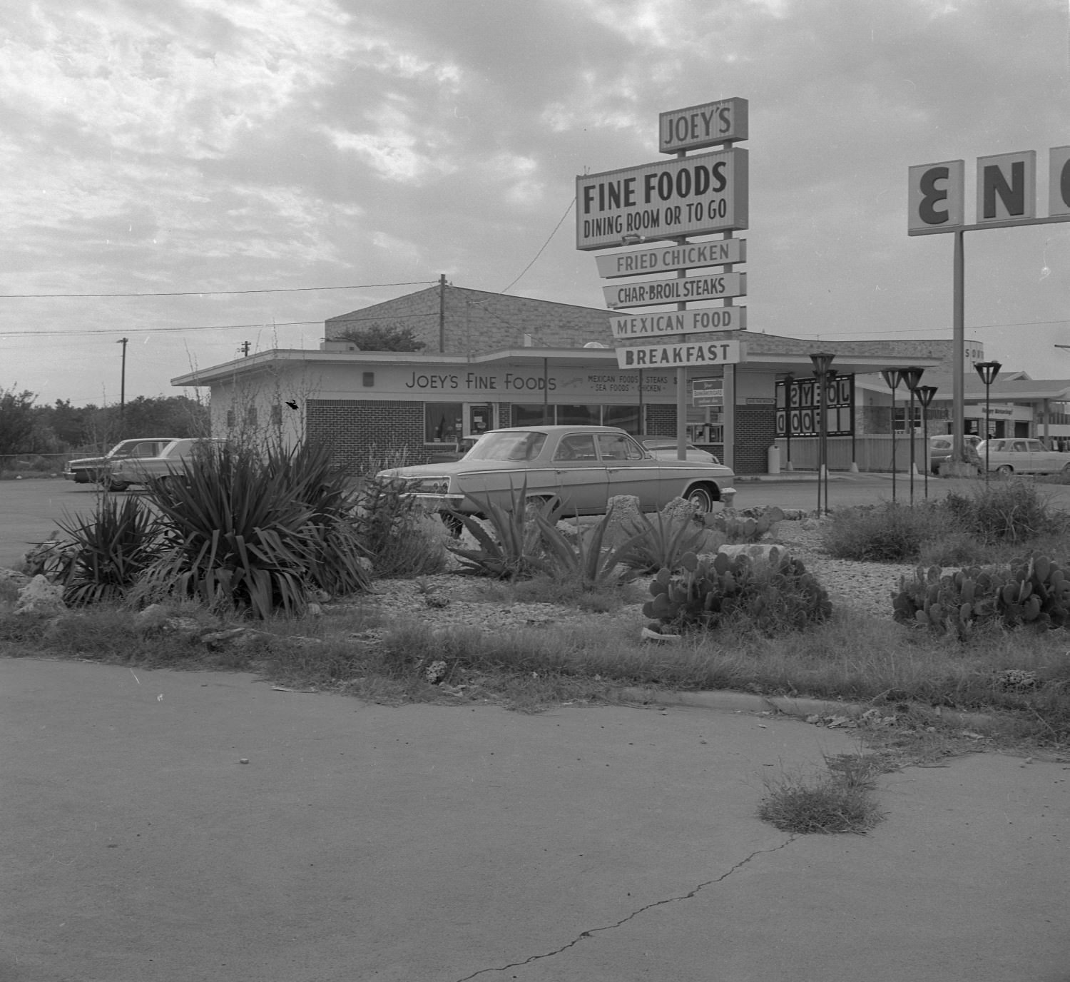 Joey's Fine Foods restaurant at 1411 W. Ben White Blvd. There are cacti in the foreground. Demolished, 1969