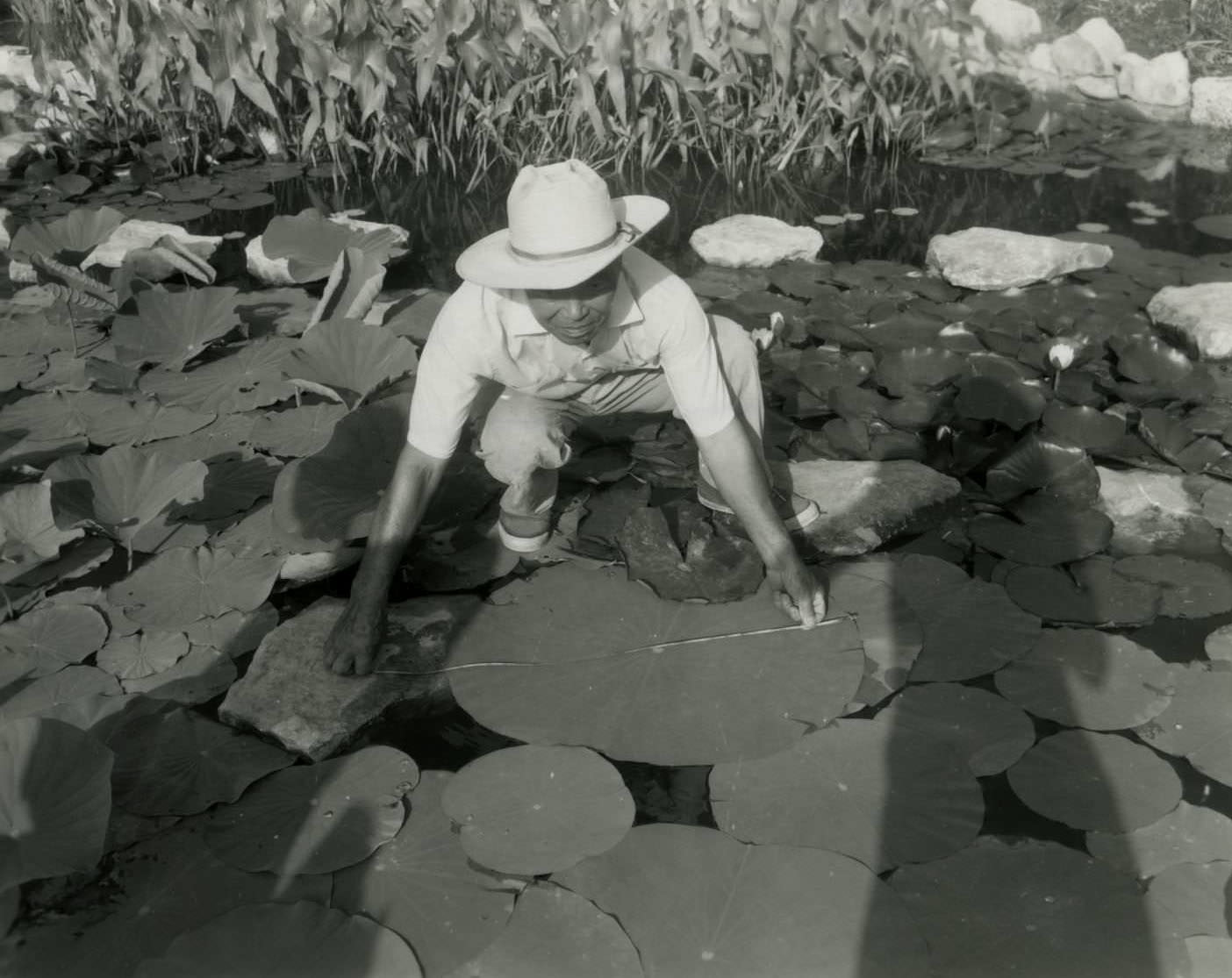 Isamu Taniguchi at Oriental Gardens, 1969.