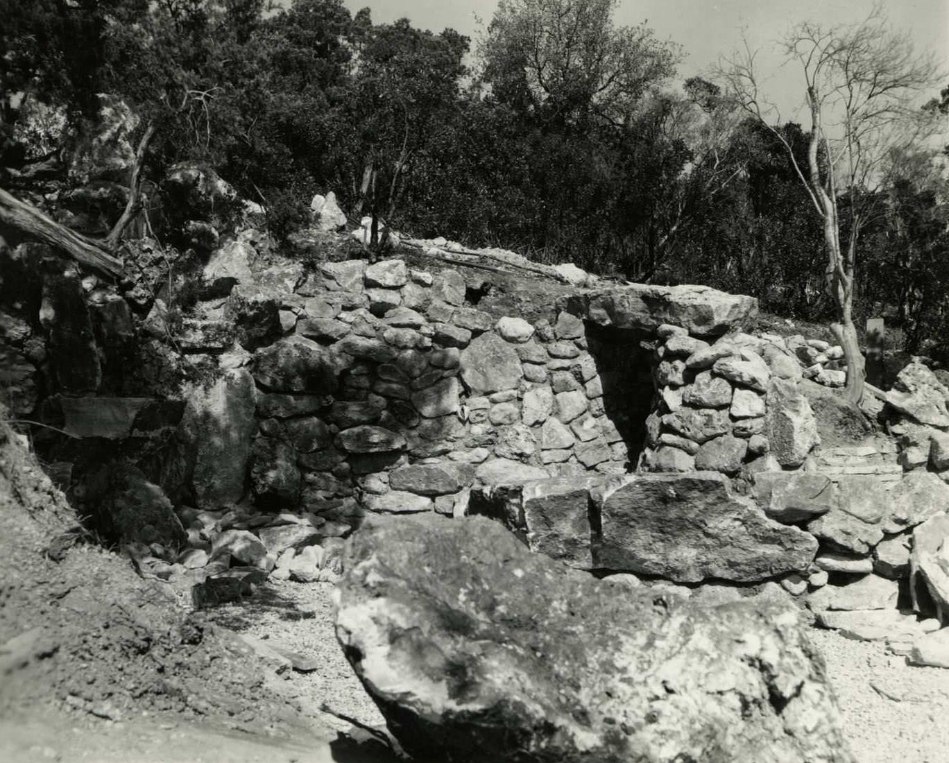 Oriental Garden - Zilker Gardens, 1968.