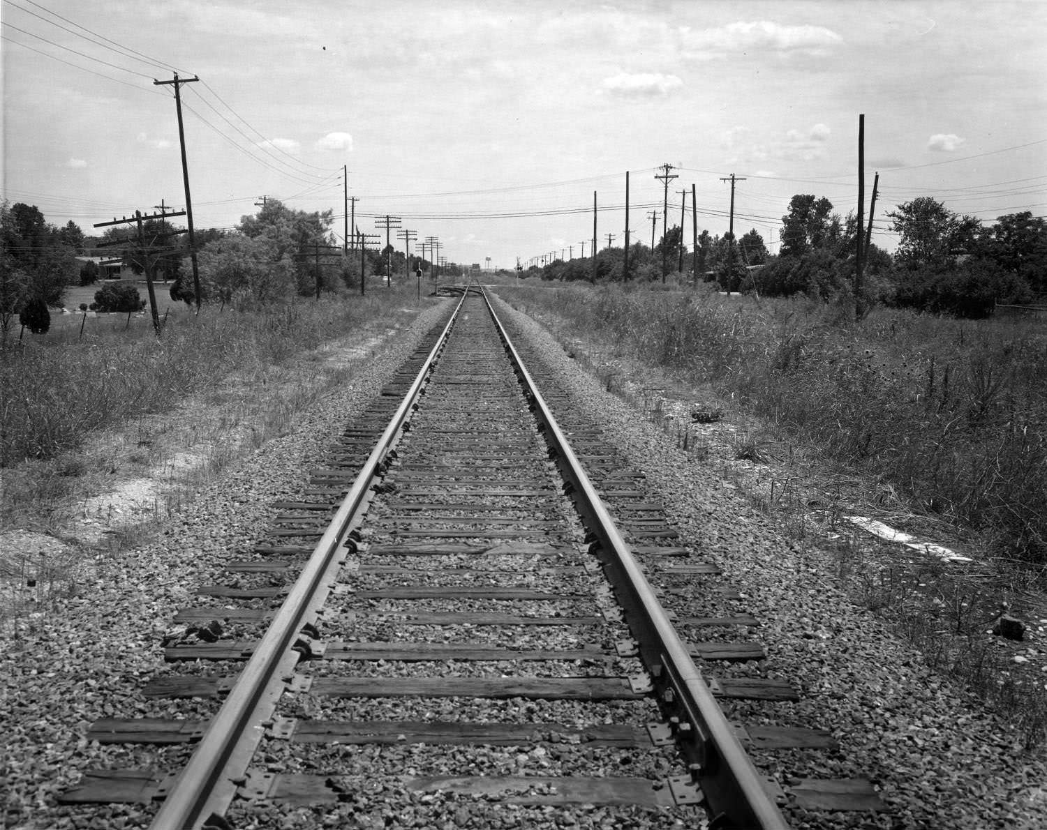 Railroad tracks near Austin, 1966.