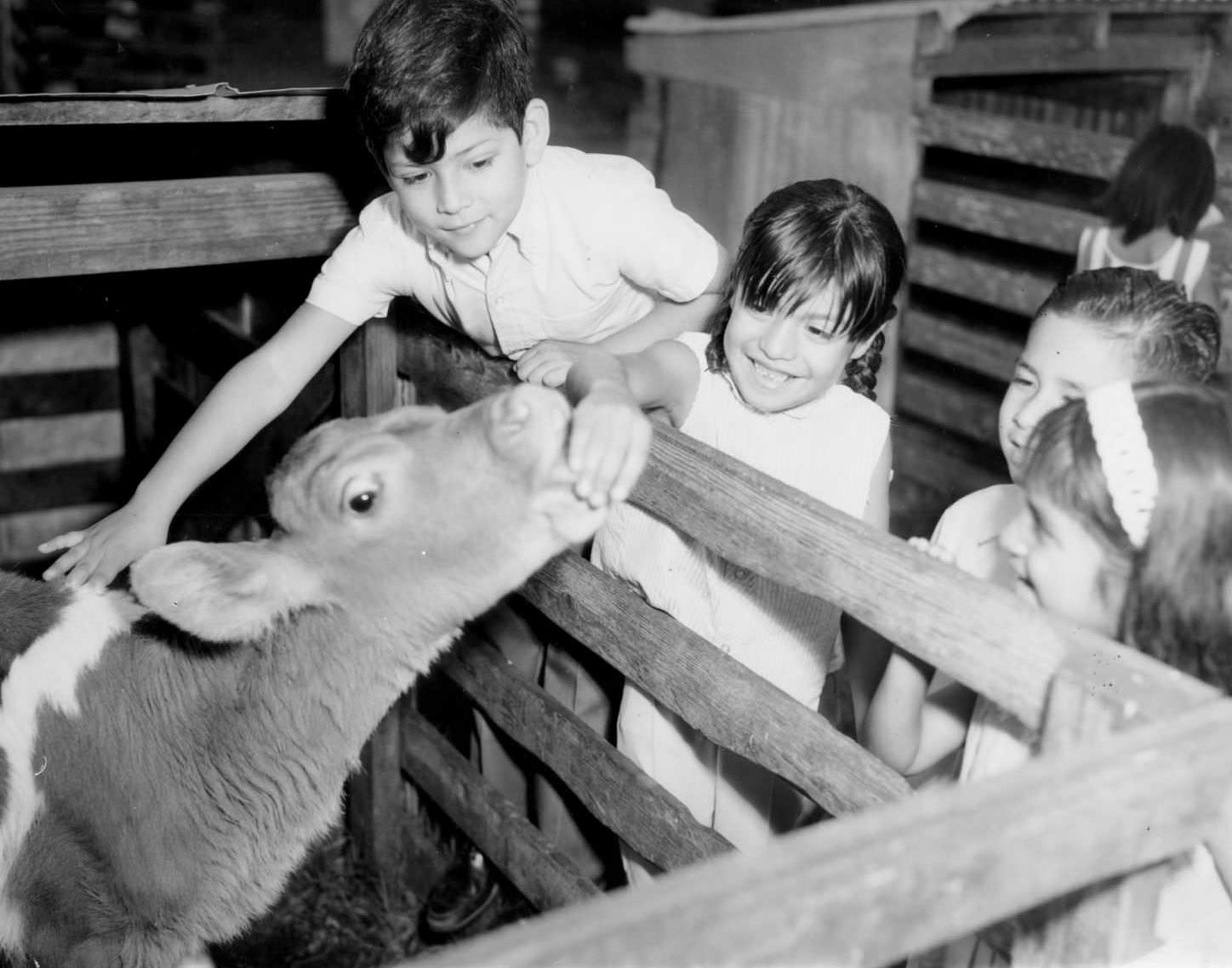 Pan American Recreation Center] Tiny Tot trip to Hillcrest Farms, 1968.