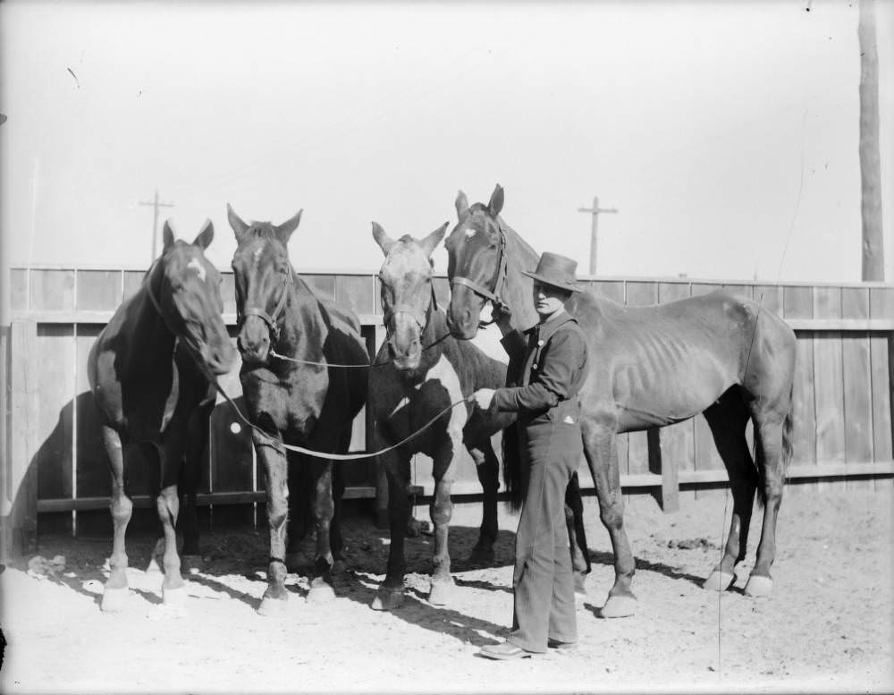 A man and Denver Fire department horses, in Denver, 1900