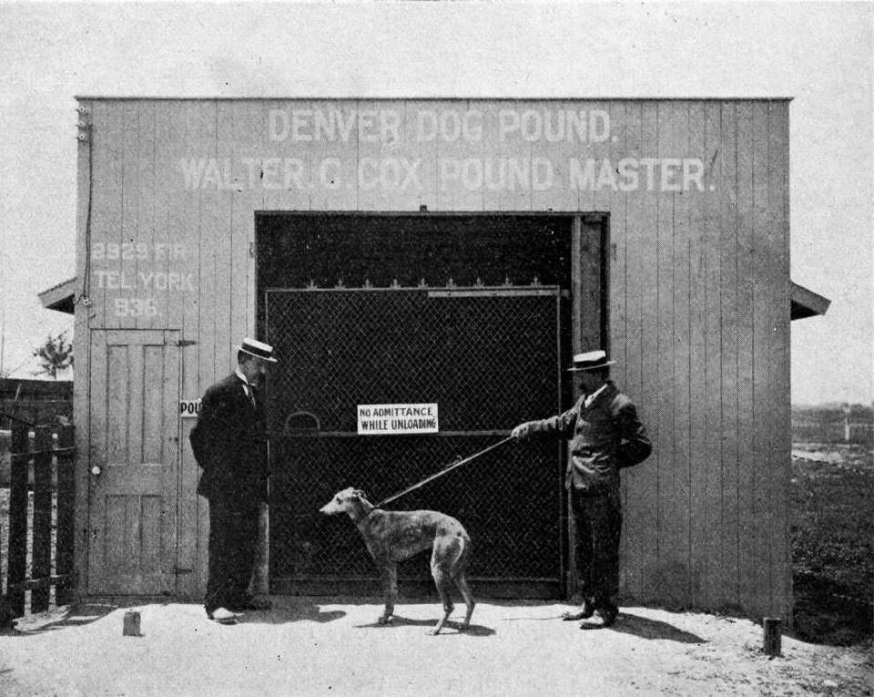 The Denver Dog Pound with animal control officials and dog posing outside of the building, 1909