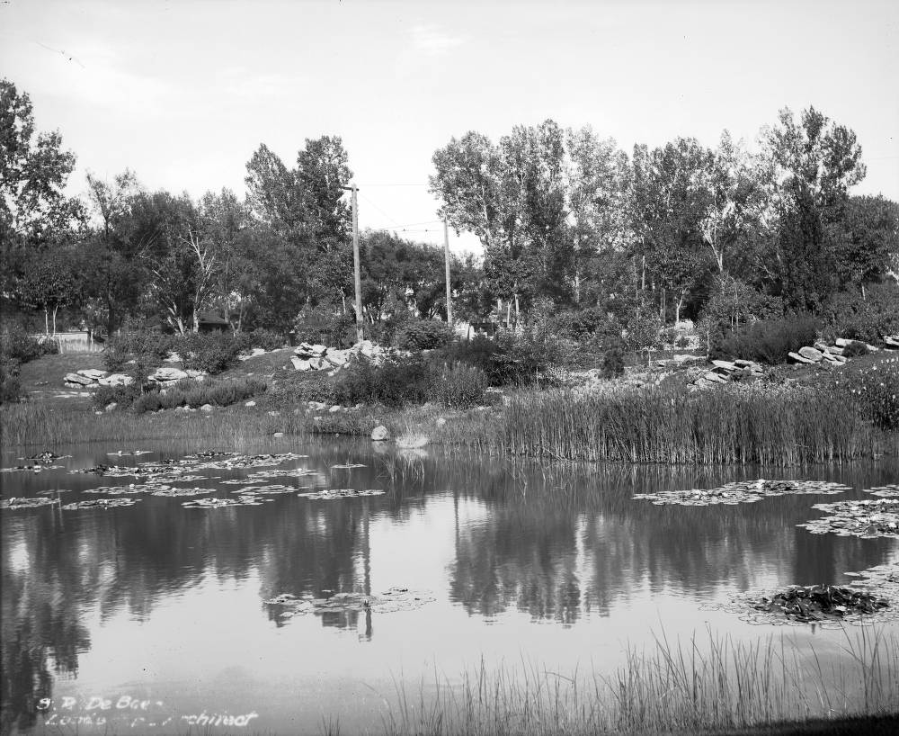 View of the lily pond and rock garden at Washington Park in Denver, 1909