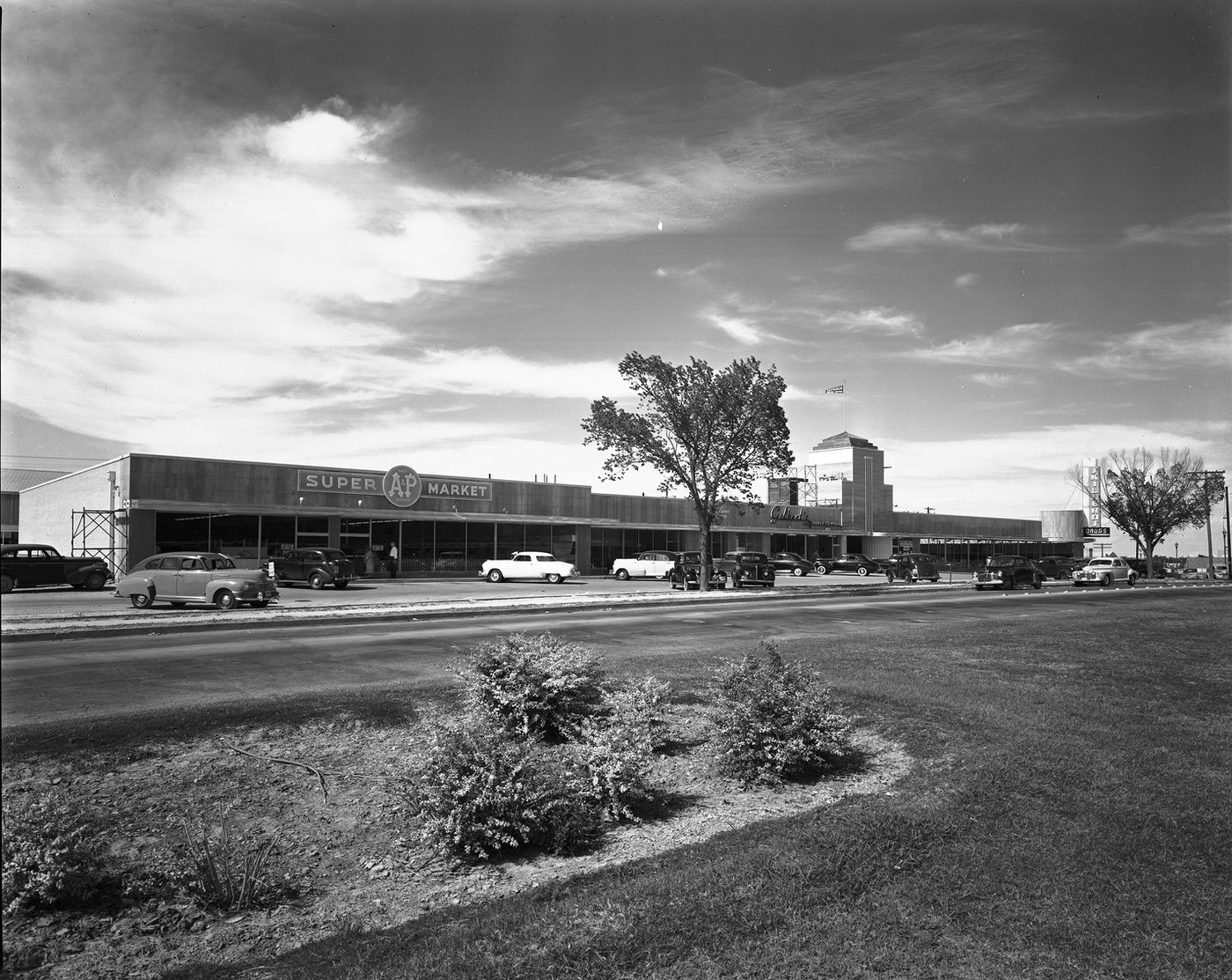 Skillern Drugs and A&P Super Market on Camp Bowie, Arlington Heights, 1949