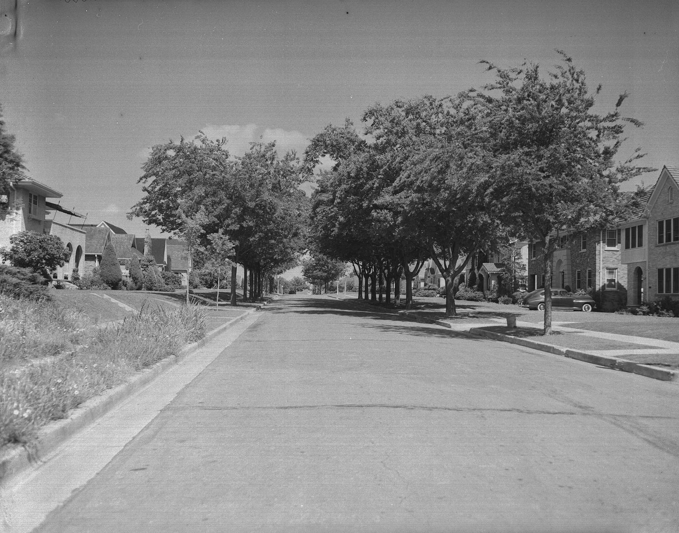 Trees along 2200 block of Huntington, Fort Worth, Texas, 1947