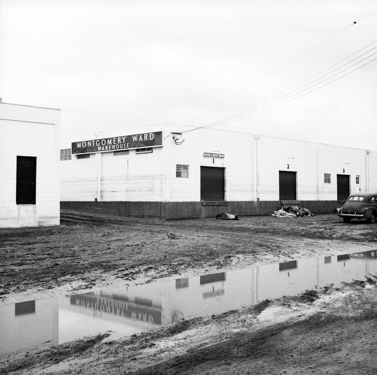 Montgomery Ward Warehouse after flood, 1949