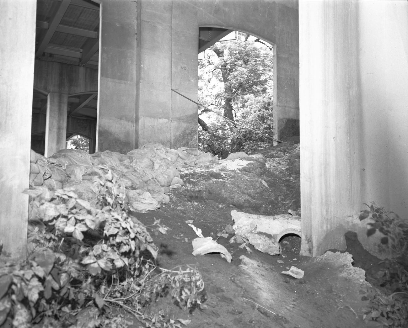 Levee break flood scene, 1949