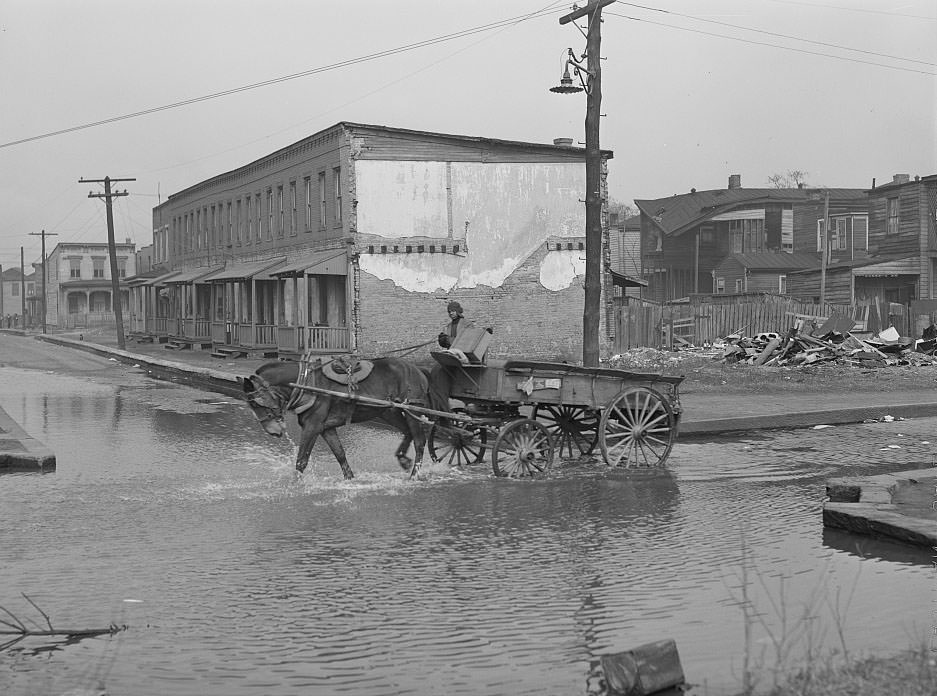 Backed up sewer in Negro slum district. Norfolk, Virginia.1941