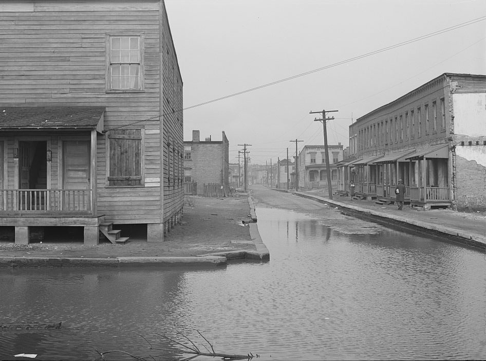 Backed up sewer in Negro slum district. Norfolk, Virginia,1941