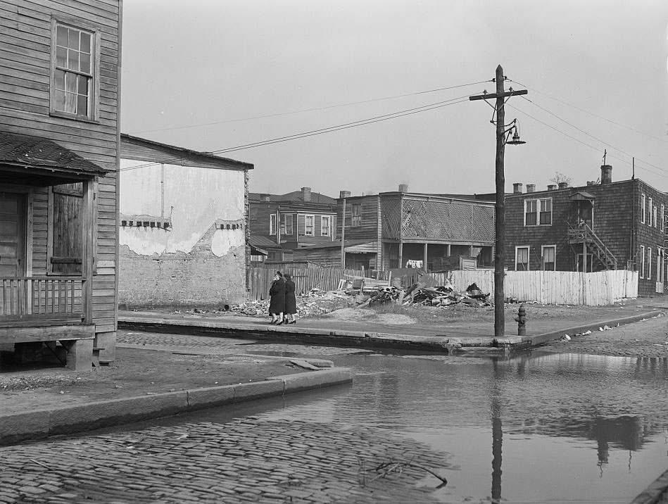 Backed up sewer in Negro slum district. Norfolk, Virginia, 1941