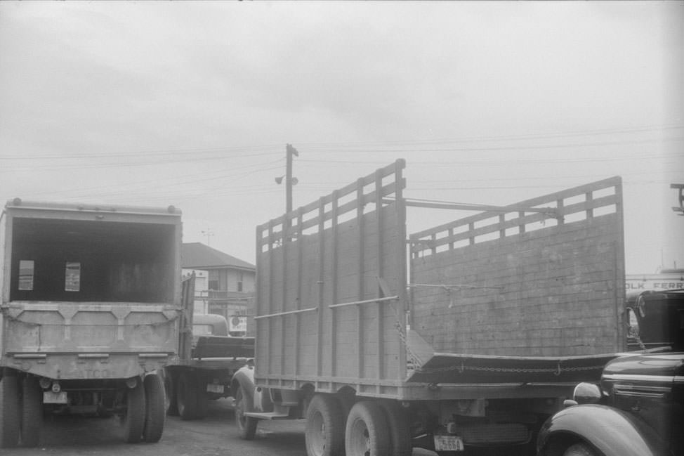 Trucks waiting at Cape Charles, Virginia for ferry to Norfolk, Virginia, 1940