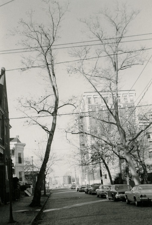 Botetourt Street looking North from Freemason Street, 1960s