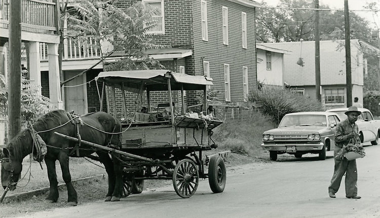 Vegetable cart on Cedar Street off Wilson Road - October 17, 1966