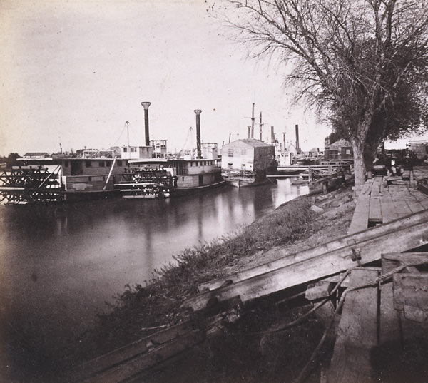 The Levee and Steamers at Sacramento City, 1870