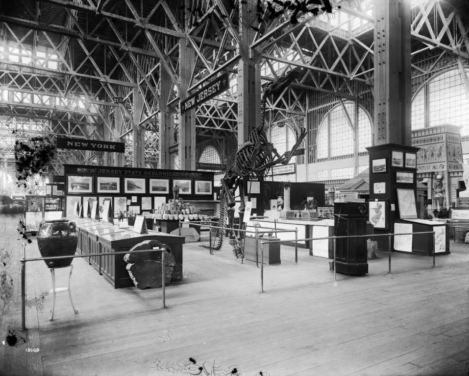 A dinosaur skeleton dominates New Jersey's exhibit in the Palace of Mines and Metallurgy at the Louisiana Purchase Exposition, 1904