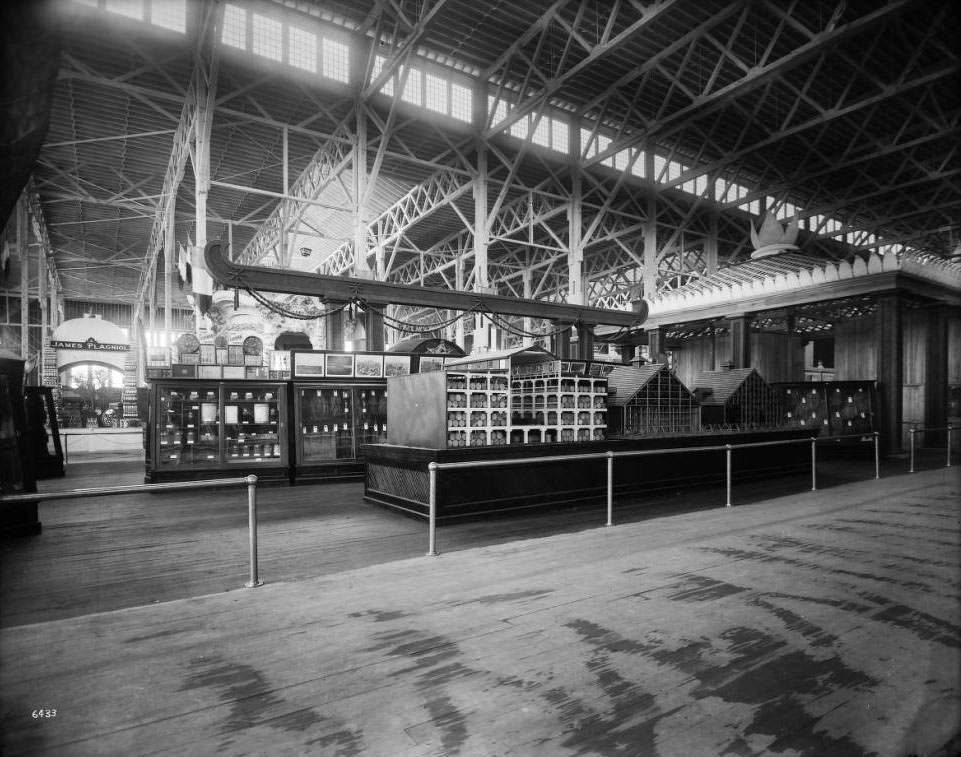Kentucky exhibits in the Palace of Agriculture, 1904