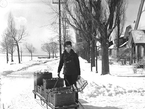 Toronto Island milkman makes deliveries using a sled, 1940s