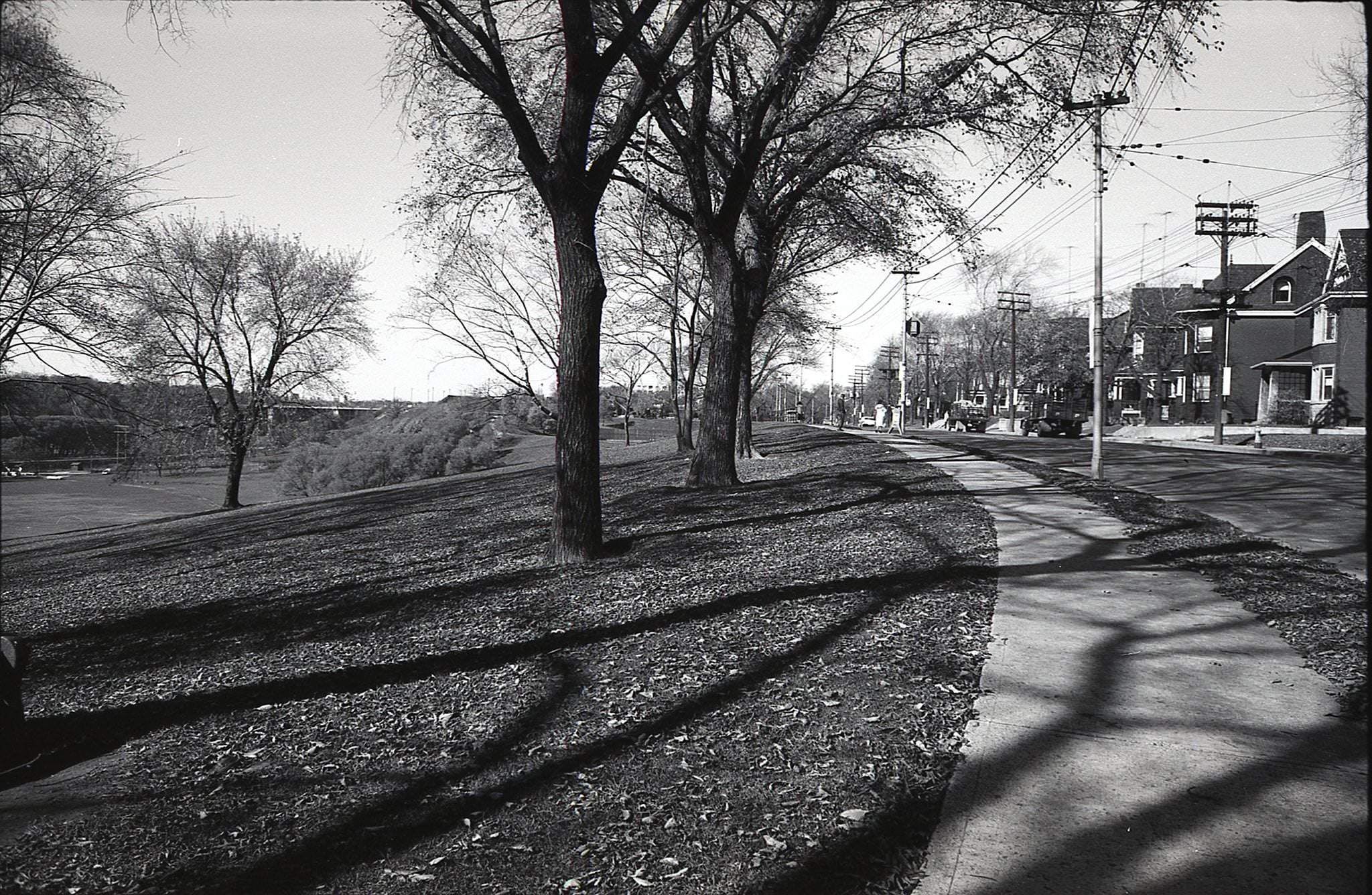 Looking over Riverdale Park, toward the Prince Edward Viaduct, from the west side of Broadview Avenue, south of Withrow, 1960.