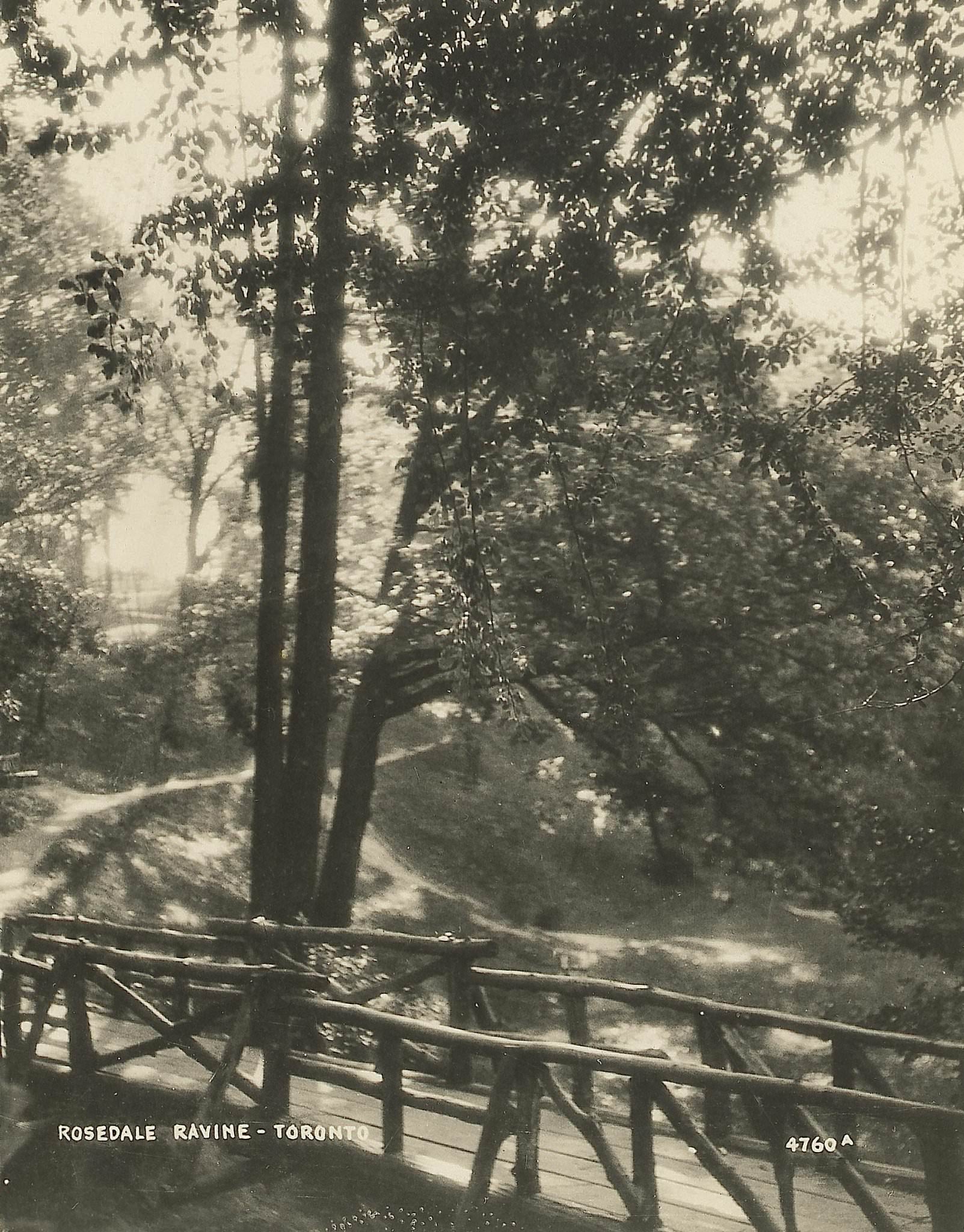 Rosedale Ravine, Toronto, 1925.
