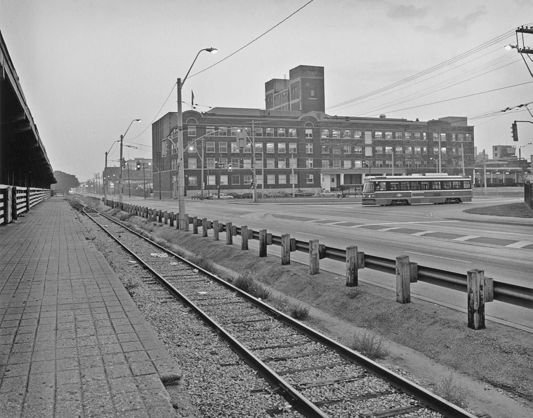 Ontario Stockyards: alley on north side of stock yards, looking west, 1991