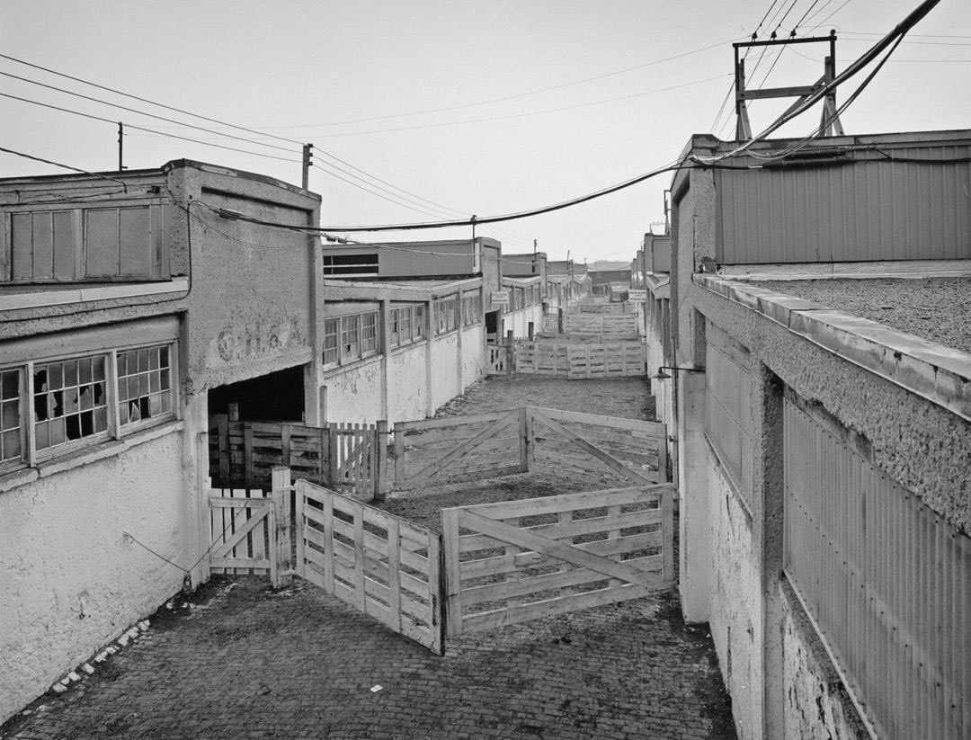 Ontario Stockyards: central alley looking west - Keele & St. Clair, 1991