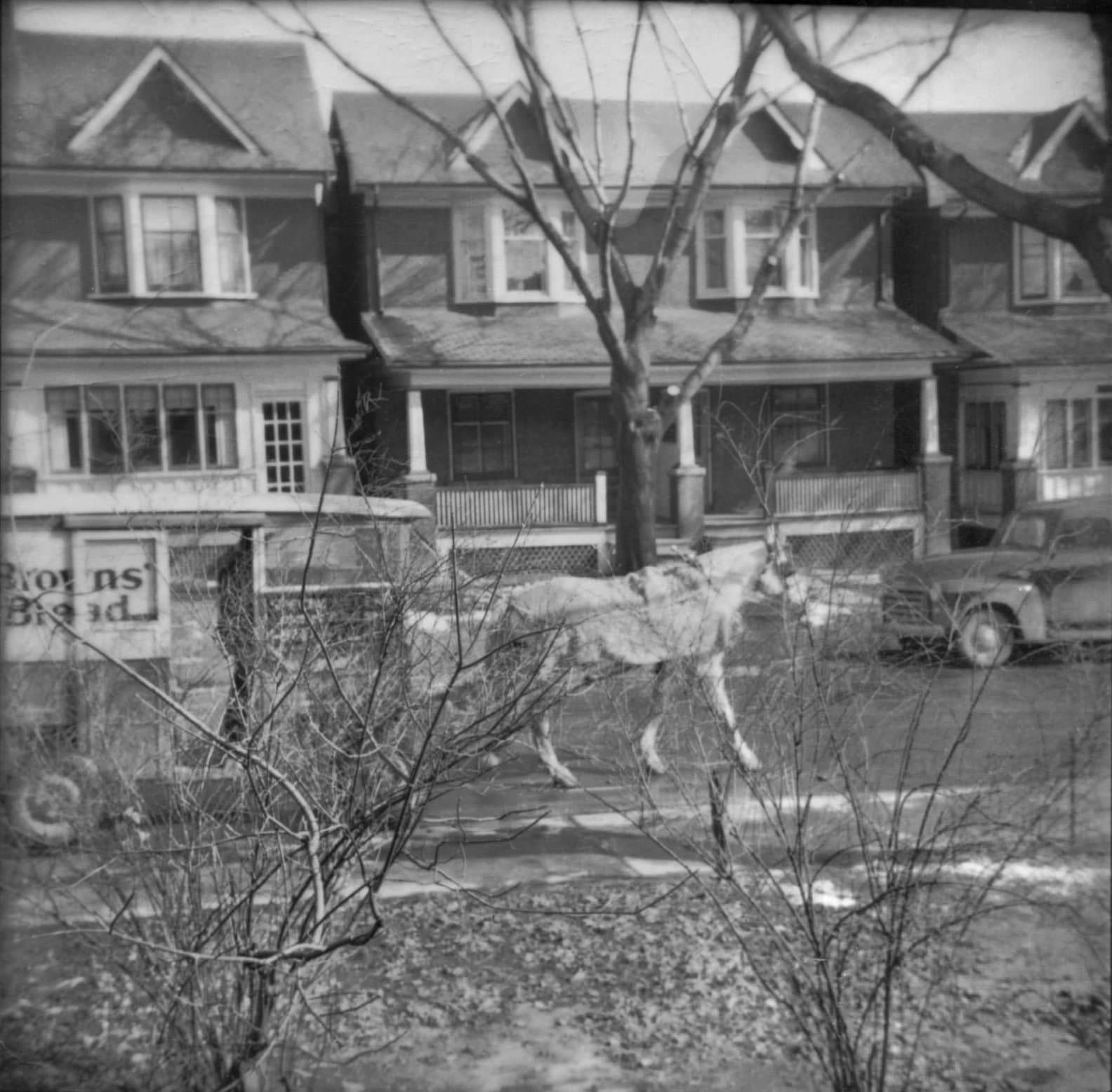 Front porch on St. Clair Gardens, in the late 1940s.