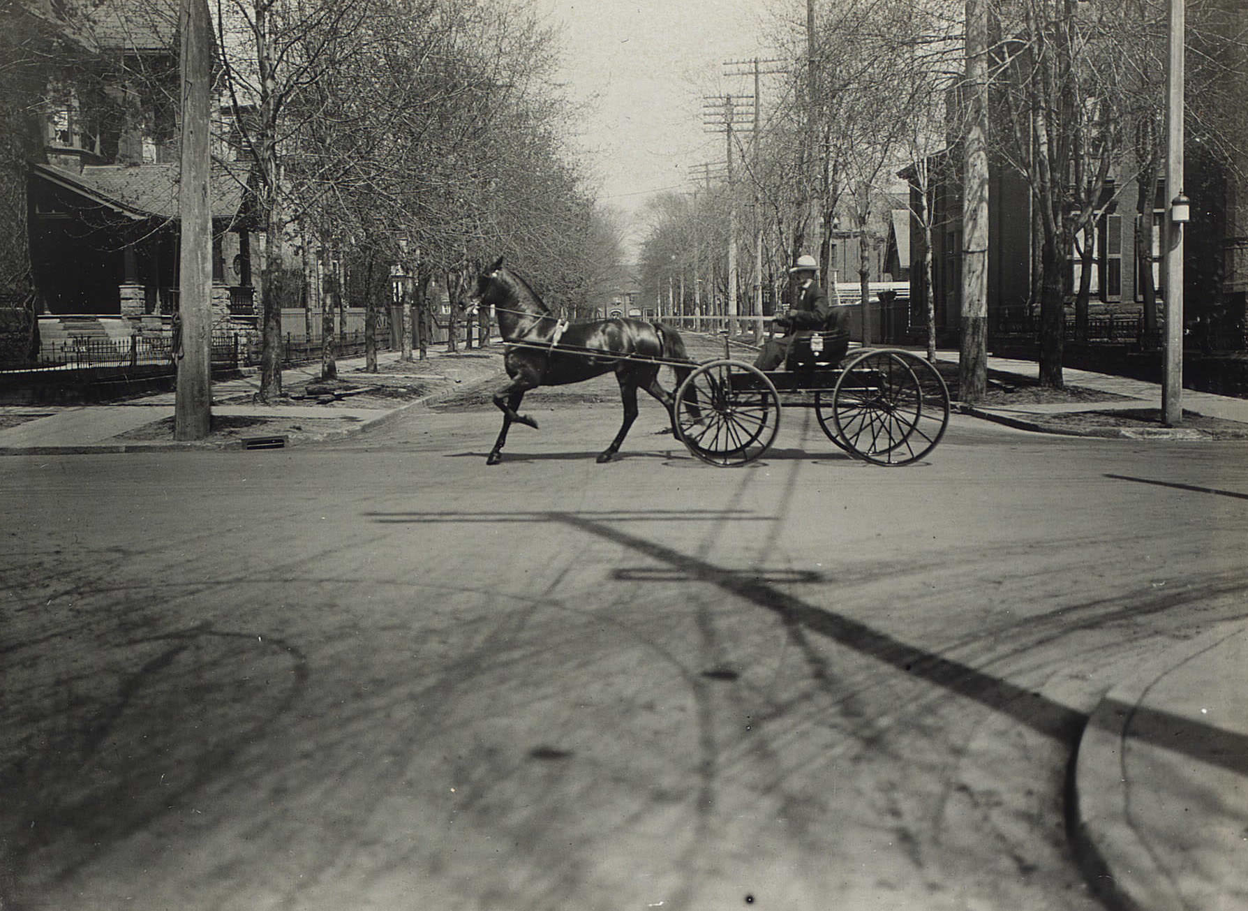 Mr. Darroch and 'Majestic"; Black 4 yr.g., driving on Jarvis Street, 1911.
