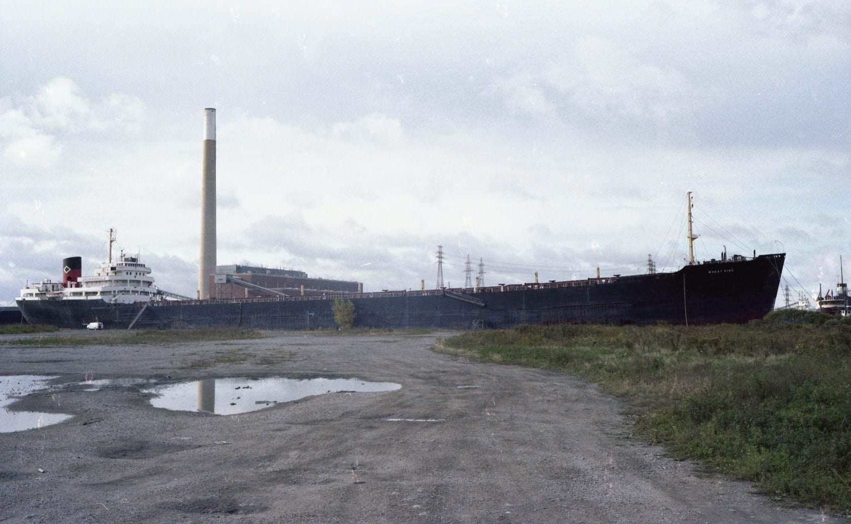 Looking southwest to the 'Wheat King' moored in the portlands; the Hearn generating station in the distance, 1981.