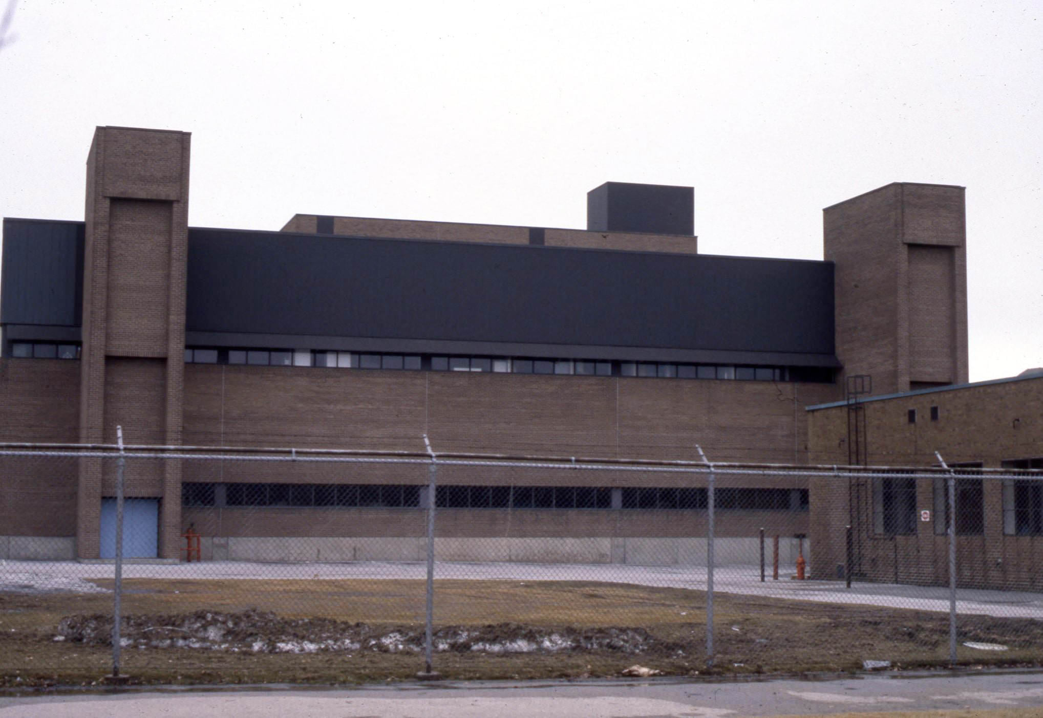 Mysterious Plant on Thermos Rd., Scarborough, 1981