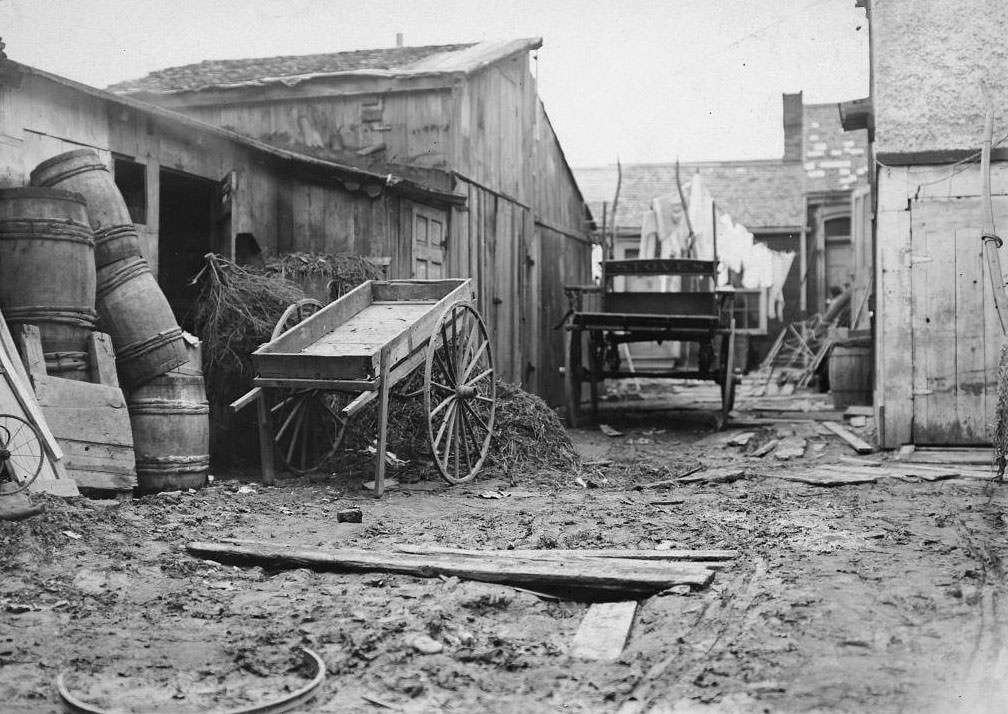Stable yard in "The Ward", 1907.