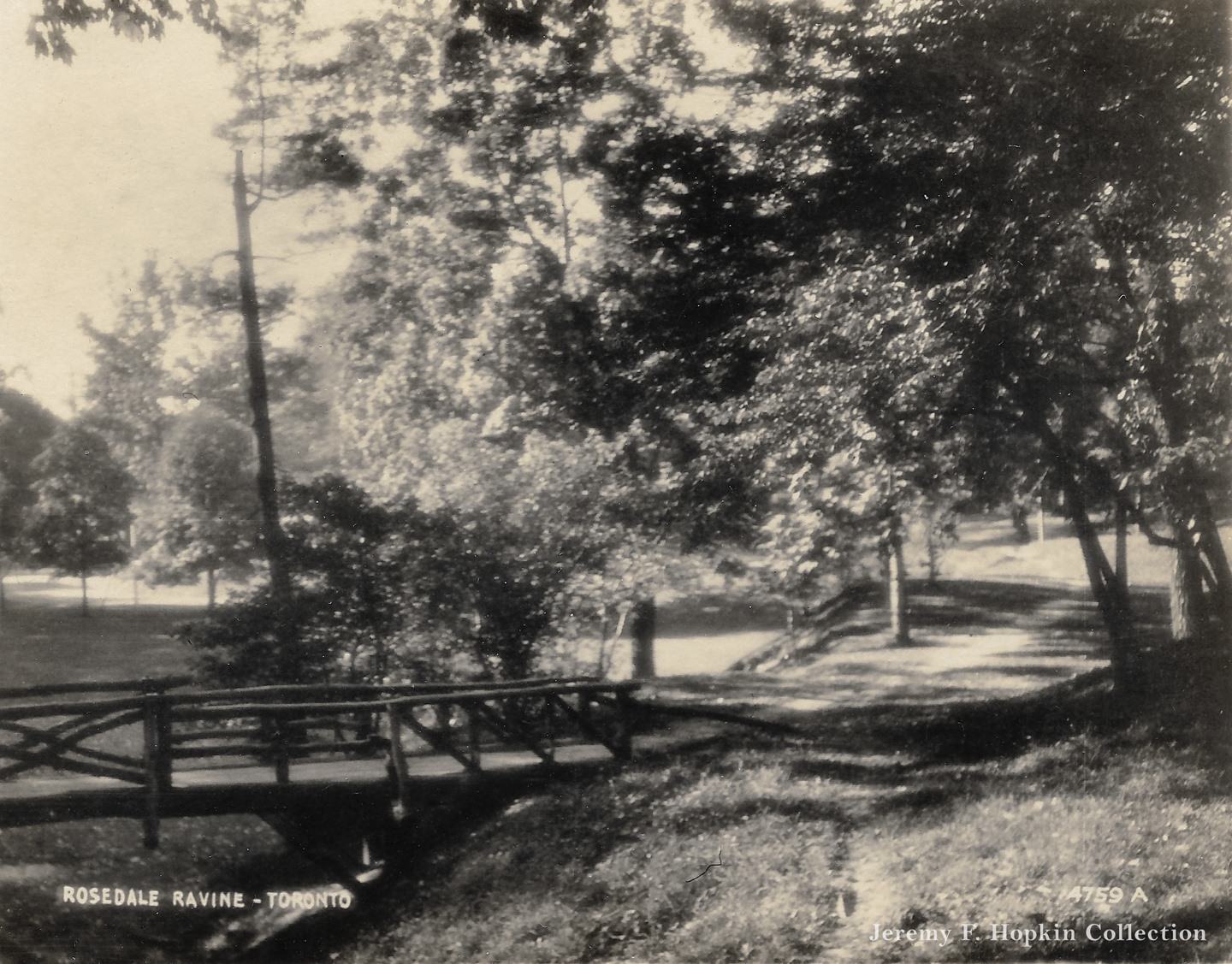 Pretty scene in Rosedale ravine, 1920.