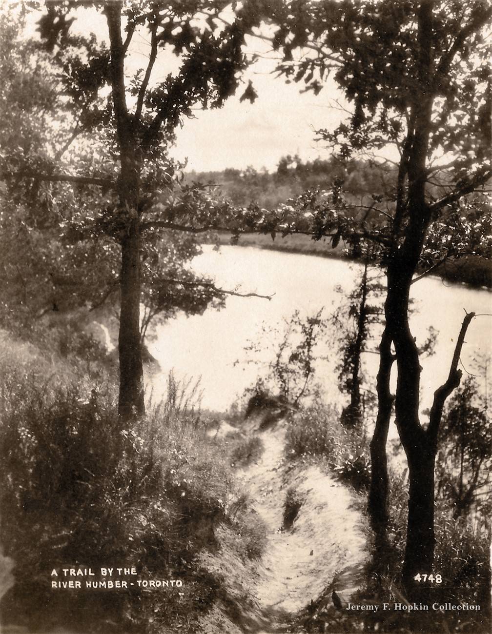 A trail by the River Humber, 1920.