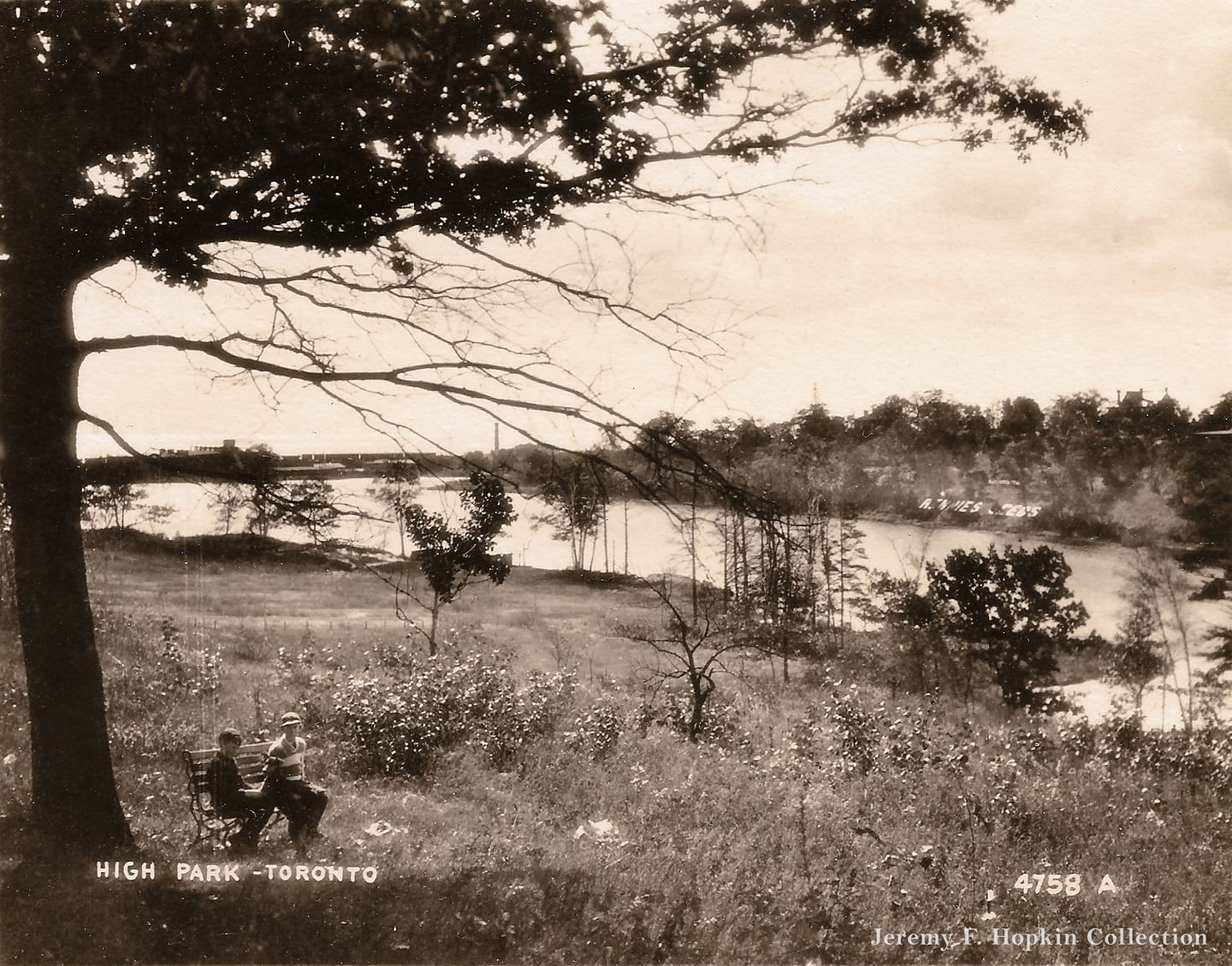 A scene in High Park, view looking west to the primary farm of the Rennie Seed company, 1920.